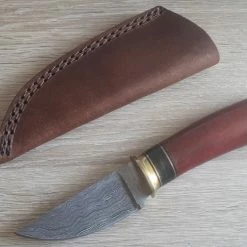 Outlet 💯 Hot Sale 🤩 Damascus Fixed Blade Hunter 🔔 🤩