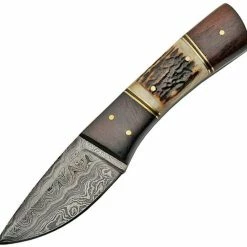 Best Sale 😉 Buy 😉 Damascus Fixed Blade Stag and Wood 👍 🎉