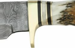 Budget 🛒 Best deal 🤩 Damascus Guthook Skinner 🤩 ⭐