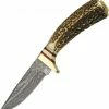 Wholesale 🛒 Coupon ⭐ Damascus Whitetail Skinner 😍 💯