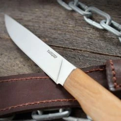 Buy 🤩 Hot Sale 😀 Kizlyar Kancler 🎉 ⌛ -Fixed Blade Knives Sales kizlyar kancler 3