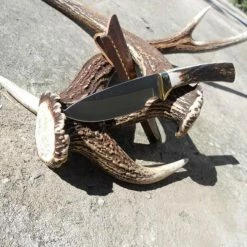 Wholesale 🛒 Best Sale 😉 Knife Muela REBECO-9A 🤩 ⭐ -Fixed Blade Knives Sales muela rebeco 9a...