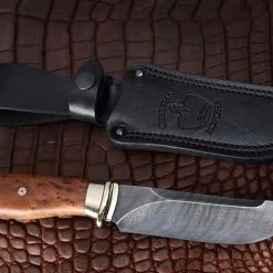 Deals β Cheap π₯ Nord Crown Sekatsch Thuja π π―