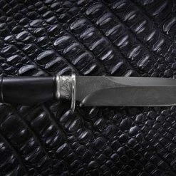 Deals βοΈ Top 10 π Nord Crown Setter π β¨